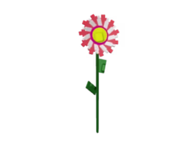 Candy Sunflower