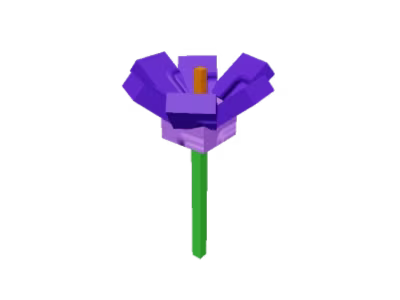 Crocus