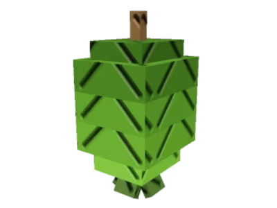 Feijoa
