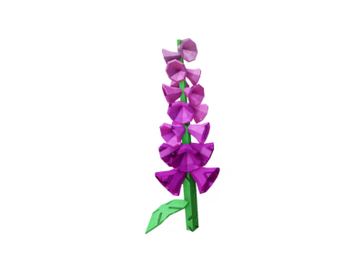 Foxglove