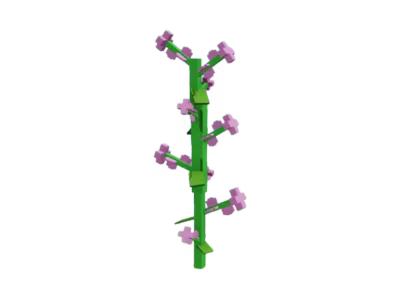 Lilac