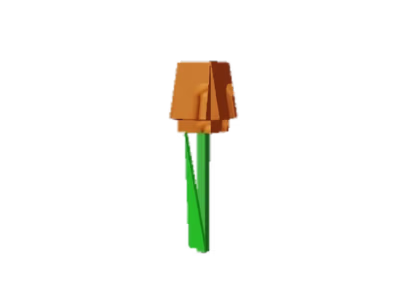 Orange Tulip