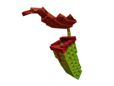 Pitcher Plant