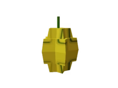 Starfruit