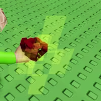 Bloom