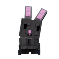 Black Bunny