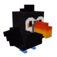 Toucan